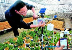 江苏苏州推进"互联网+"现代农业