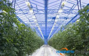 德州首个智慧农业大棚 完成首次番茄苗木定植