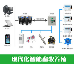 现代化畜牧养殖