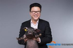 互联网企业养猪养鸡 消费升级下更多“外行”跨界农业