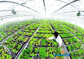 扶持现代农业园区促进精准脱贫