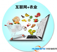 “互联网+”让浙江农业呈现别样面貌