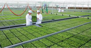 以色列农业示范园落户河南内乡