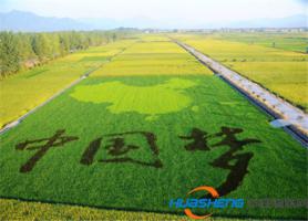 互联网+农业主要流派发展方向分析