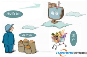 “互联网+农业”不只是发展农村电商