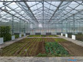河南探索智能农业布局　建立标准模式还待时间考验