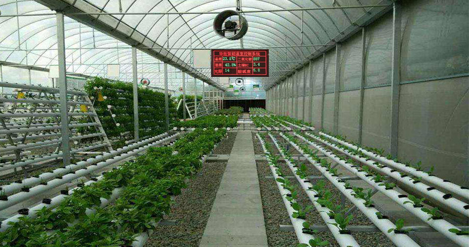 温室草莓栽培物联网智慧解决方案